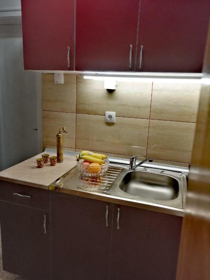 Duplex Mihajlovic-Vrnjacka Banja Apartment Екстериор снимка
